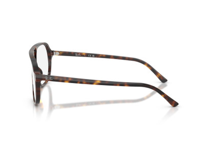 RAY BAN (5698)