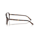 RAY BAN (5698)