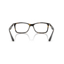 RAY BAN (7047)