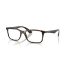 RAY BAN (7047)