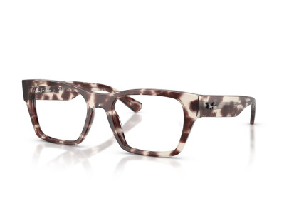 RAY BAN (5448)
