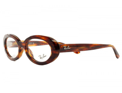 RAY BAN (2223)