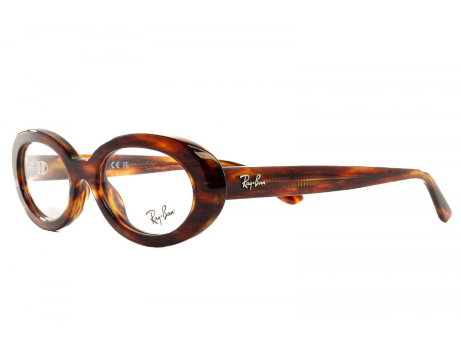 RAY BAN (2223)