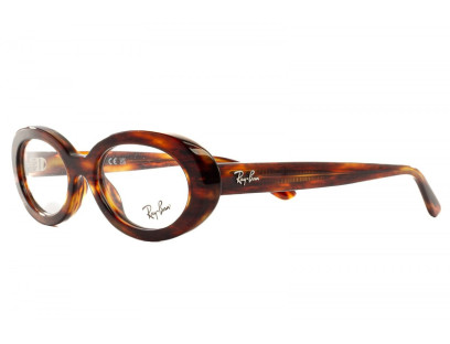 RAY BAN (2223)