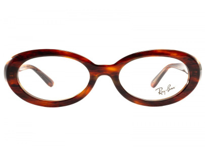 RAY BAN (2223)