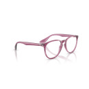 RAY BAN (7046)
