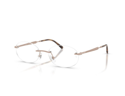 RAY BAN (3767)