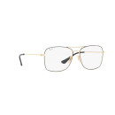 RAY BAN (6498)