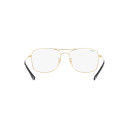 RAY BAN (6498)