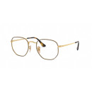 RAY BAN (6448)