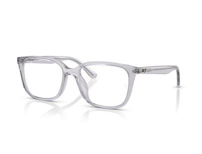 RAY BAN (7248D)