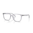 RAY BAN (7248D)