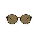 RAY BAN (4304)