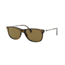 RAY BAN (4318)