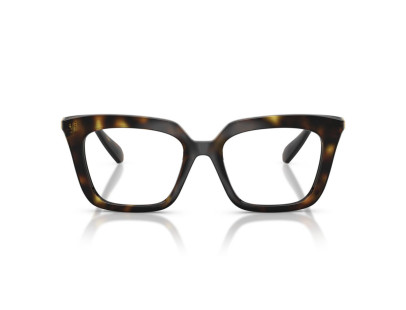 SWAROVSKI (2043)