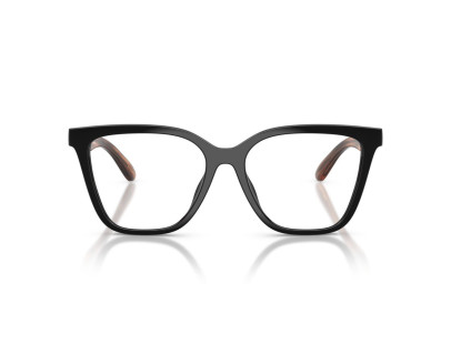 EMPORIO ARMANI (4254U)
