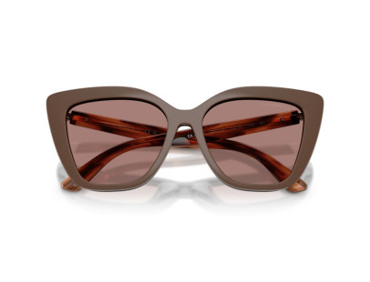 EMPORIO ARMANI (4254U)