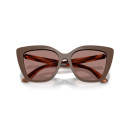 EMPORIO ARMANI (4254U)