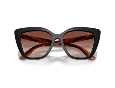 EMPORIO ARMANI (4254U)