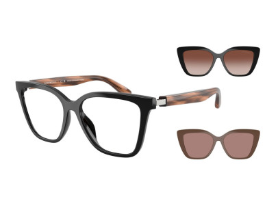 EMPORIO ARMANI (4254U)
