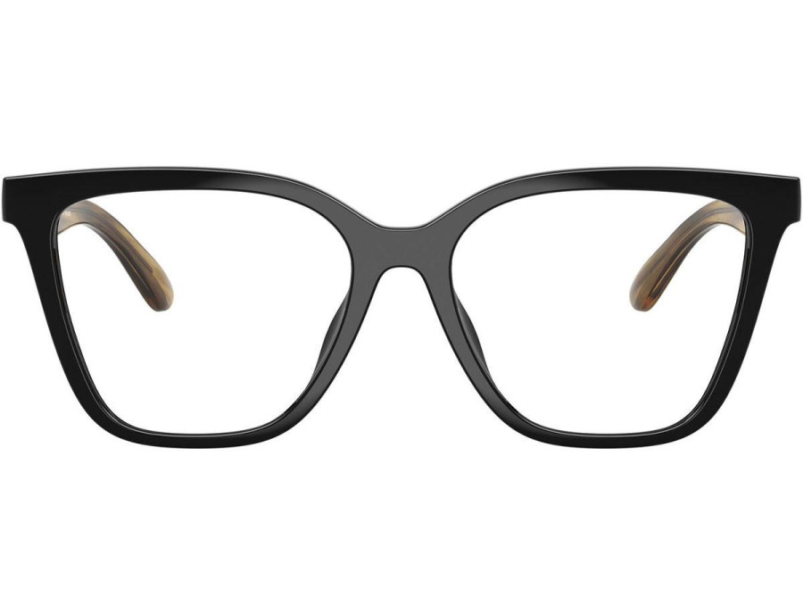 EMPORIO ARMANI (4254U)
