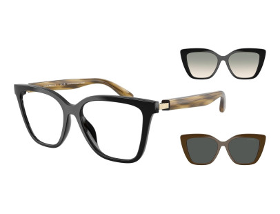 EMPORIO ARMANI (4254U)