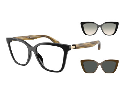 EMPORIO ARMANI (4254U)