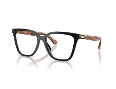 EMPORIO ARMANI (4254U)
