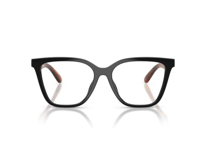 EMPORIO ARMANI (4254U)