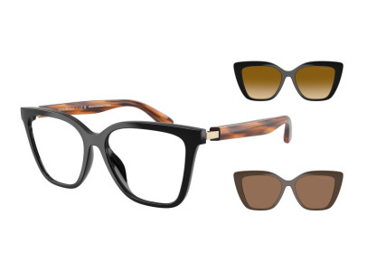 EMPORIO ARMANI (4254U)