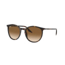 RAY BAN (2204)