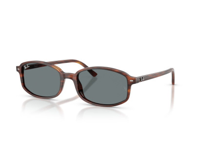 RAY BAN (2232)