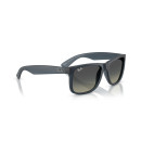 RAY BAN (4165)