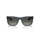 RAY BAN (4165)