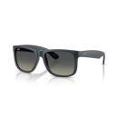 RAY BAN (4165)