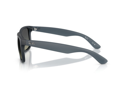 RAY BAN (4165)