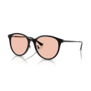 RAY BAN (4434D)