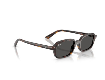 RAY BAN (4455)