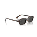 RAY BAN (4455)