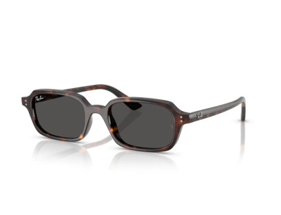 RAY BAN (4455)