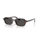 RAY BAN (4455)