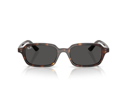 RAY BAN (4455)