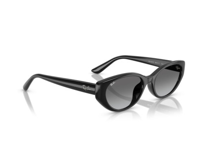 RAY BAN (4457)
