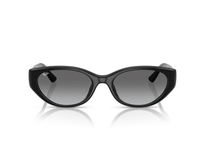 RAY BAN (4457)