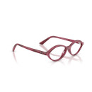 RAY BAN (7265)