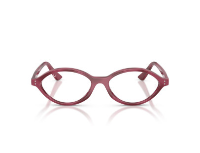 RAY BAN (7265)