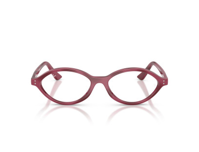 RAY BAN (7265)