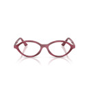 RAY BAN (7265)