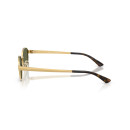 RAY BAN (3774D)