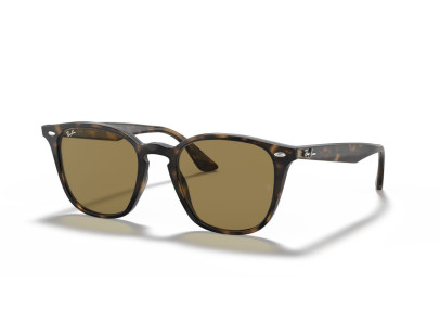 RAY BAN (4258F)